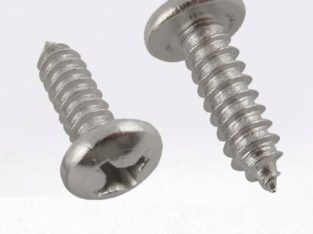 304 SS Self tapping screw