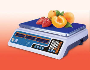 Digital Price Computing Weighing Apparatus (DH~209A)