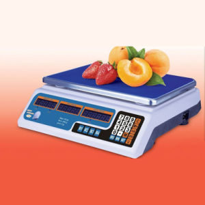 Digital Price Computing Weighing Apparatus (DH~209A)