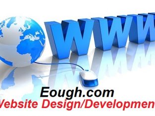Website Design in Pakistan